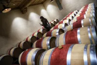 Chateau Sénailhac Hotels in Lignan-de-Bordeaux