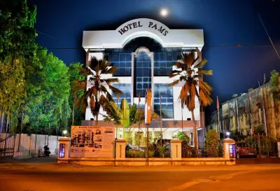 Hotel Pams فنادق في Mayiladuthurai