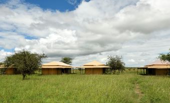 Serengeti Wild Camp