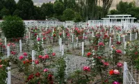 Romantic Country Lodge Hotels in Guide