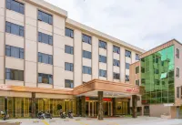 Oriental Victory Hotel (Huilai High speed railway station)