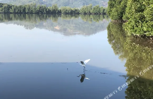 沙巴朋友家紅樹林水上木屋