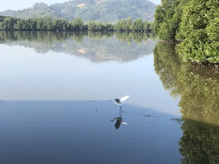 Gayang Friendly Water House Homestay Отели рядом с достопримечательностью «Rasa Ria Reserve»