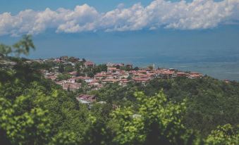 a picturesque view of a small town surrounded by trees , with a body of water in the background at Veranda