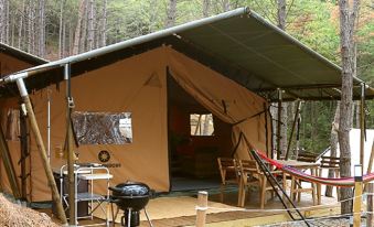 Blacktree camping pension