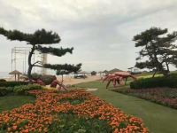海阳湛蓝回忆精品民宿 - 酒店附近