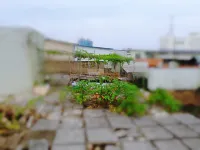 Beer Friends Hostel (Guilin Station)