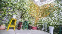 Zhongfang Jiaxing Homestay