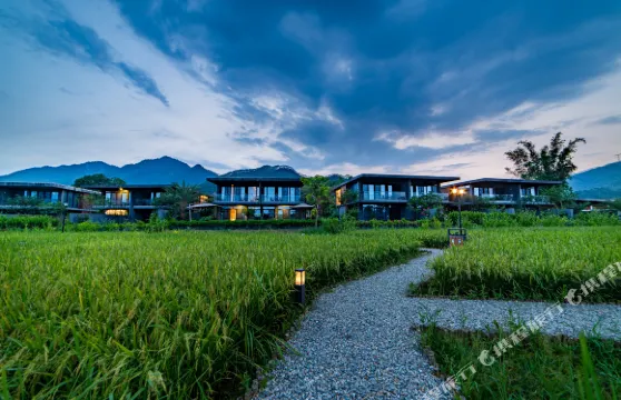 清遠米墅稻田野舍温泉民宿