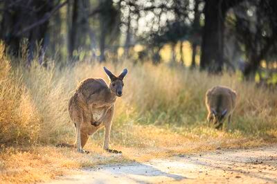 ホテル周辺 クラウンプラザ パースの写真