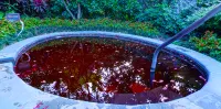 Nankunshan·R&F·Health Valley Manor - Hot Springs