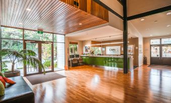 a modern , well - lit room with wooden floors and ceiling , green reception desk , large windows , and an open door leading to another area at Scenic Hotel Bay of Islands