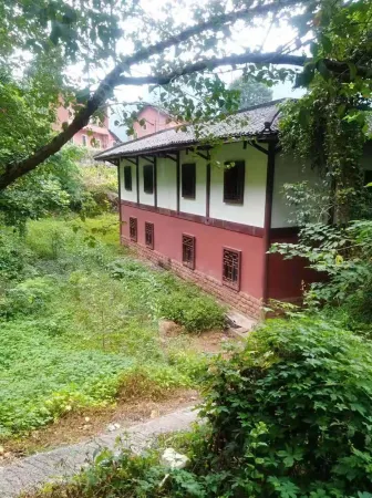 Dendrobium dendrobium garden farm