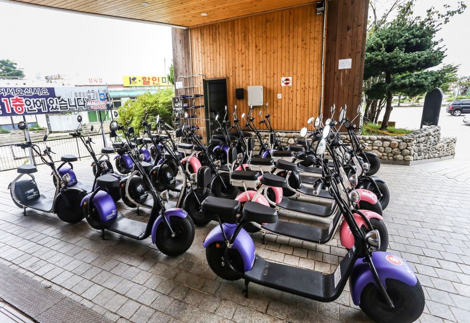 2. 오션투유리조트 ..