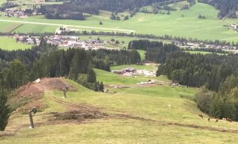 a scenic view of a valley with green hills , grass , and trees , as well as a small village nestled in the distance at Hotel Park