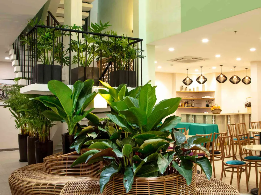 Dai Nam Sai Gon Hotel - 胡志明市