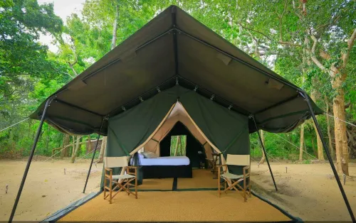 Leopard Trails Wilpattu Hotels in Pahala Maragahawewa