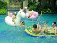 西双版纳洲际度假酒店 - 室外游泳池