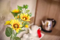 위에펑 호텔 (탕산 위톈 누안취안 로드)