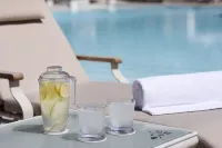 Palazzo Versace Dubai - 5 stjerner