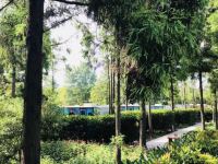 上海东平国家森林公园房车 - 驴小玩家庭房