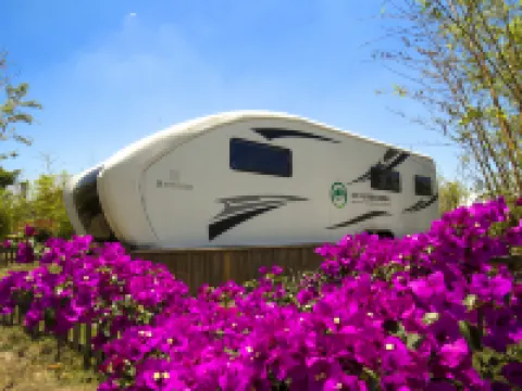 Zhenfeng Sanchahe Starry Sky Homestay Hotels in Zhenfeng