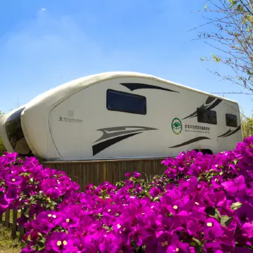 Zhenfeng Sanchahe Starry Sky Homestay