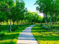 7 Days Premium Hotel (Shijiazhuang Zhengding Ancient City Longxing Temple)