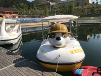 Suiyang Wolong Lake Resort Hotels in Suiyang