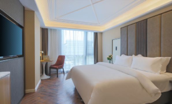 Jinjiang Metropolo Hotel ( NanJing Nan Railway Station Certre)