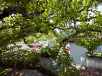 banshuirenjia Hotels near Dahongpao(Big Red Robe Tea) Scenic Spot