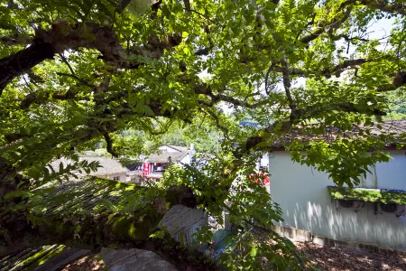 banshuirenjia Отели рядом с достопримечательностью «Tianxin Yongle Temple»
