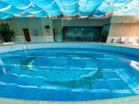深圳长丰酒店 - 室内游泳池