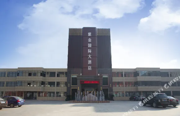 東阿紫金國際大酒店