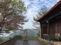 莫干山林海别墅 - 公共区域