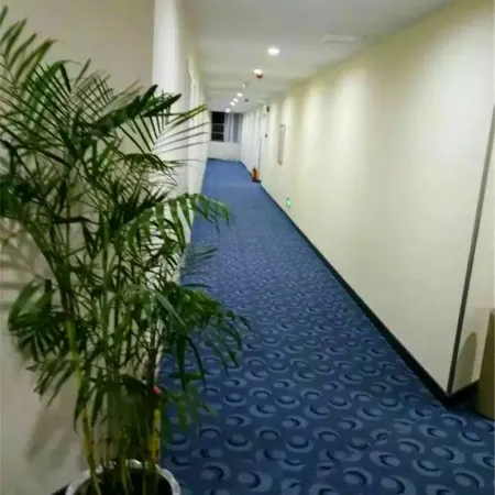 7+1 dianjing hotel