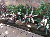 涠洲岛宁静花园海景酒店 - 公共区域