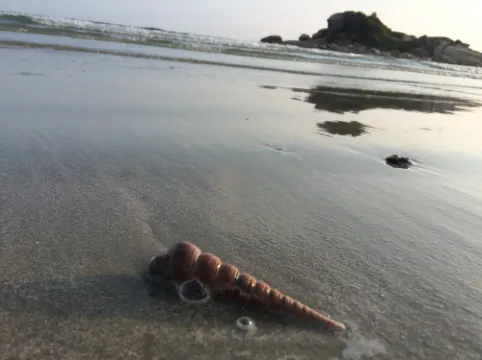 Lion Island Holiday Hotel (Shuangyuewan) Freizeit und Erholung Photos