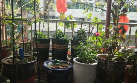 Nanjiang Sunshine Hotel - Housity