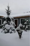 Xueyun'ge Hotel Hotel a Hailin