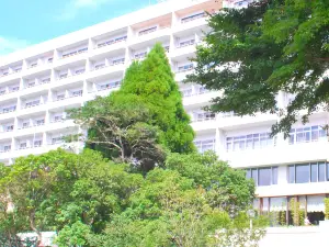 Top 6 Four-Star Hotels in Kirishima