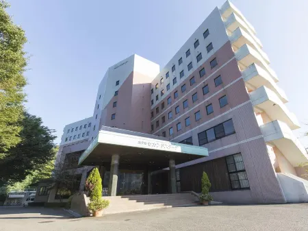 Hotel Second Stage Отели в г. Цуруги