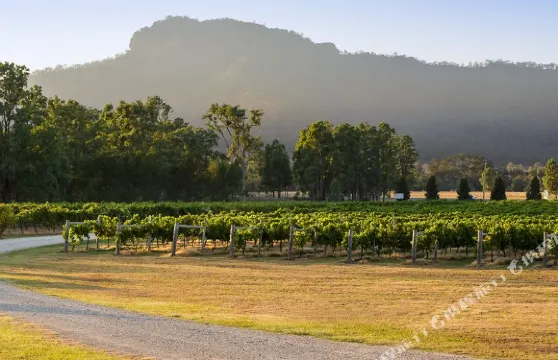 布洛克Unwind-The Dairy at Tinonee Vineyard Estate酒店