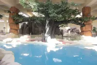Narada Resort & Spa Wugongshan - Swimmingpools