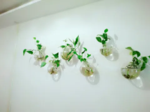 新巴爾虎左旗盛安賓館 新巴爾虎左旗酒店