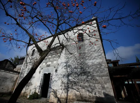 Pig's Inn (Yi County Bishan)