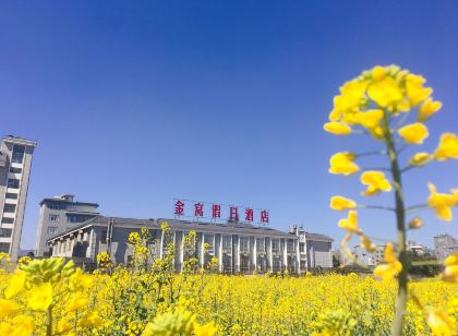 羅平金窩假日飯店