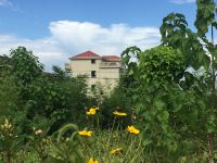 桐庐朵拉小屋民宿 - 山景露台二室一厅