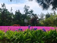 来安白鹭岛度假村 - 酒店景观