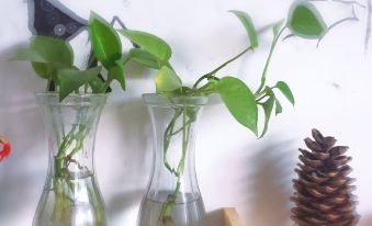 Chongqing Wulishan City Youth Hostel (Red Earth Subway Station)